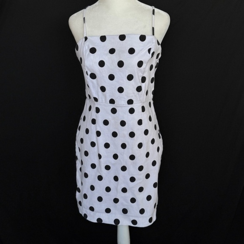 Forever 21 Polka Dot Fit Dress